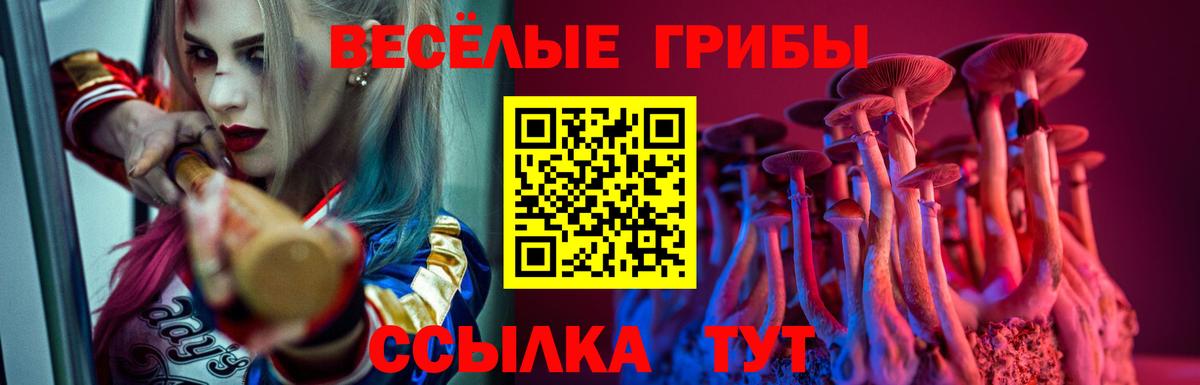 Сыктывкар  Псилоцибиновые грибы Psilocybe  закладка  Вход с VPN 